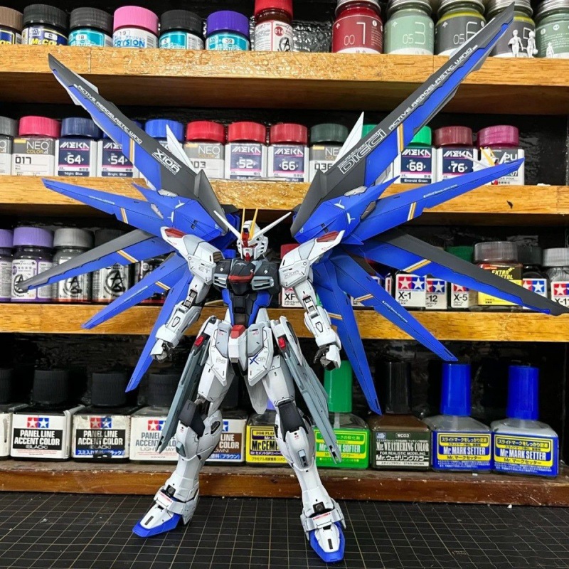 フリーダムガンダム + ガンシールドソード + ビッグウィング + ブラケット - セパレートモデル [工具なし]