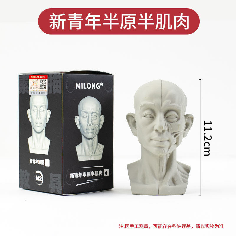 M2 新しい若者ブロック半生半筋肉