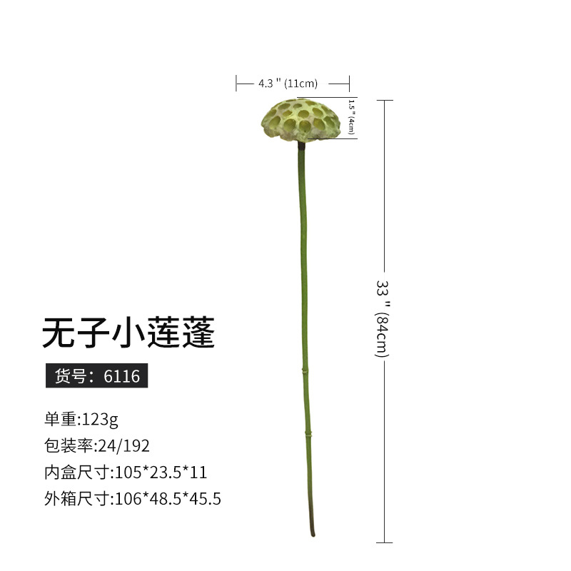 6116子なし蓮蓬(192枝から予約)