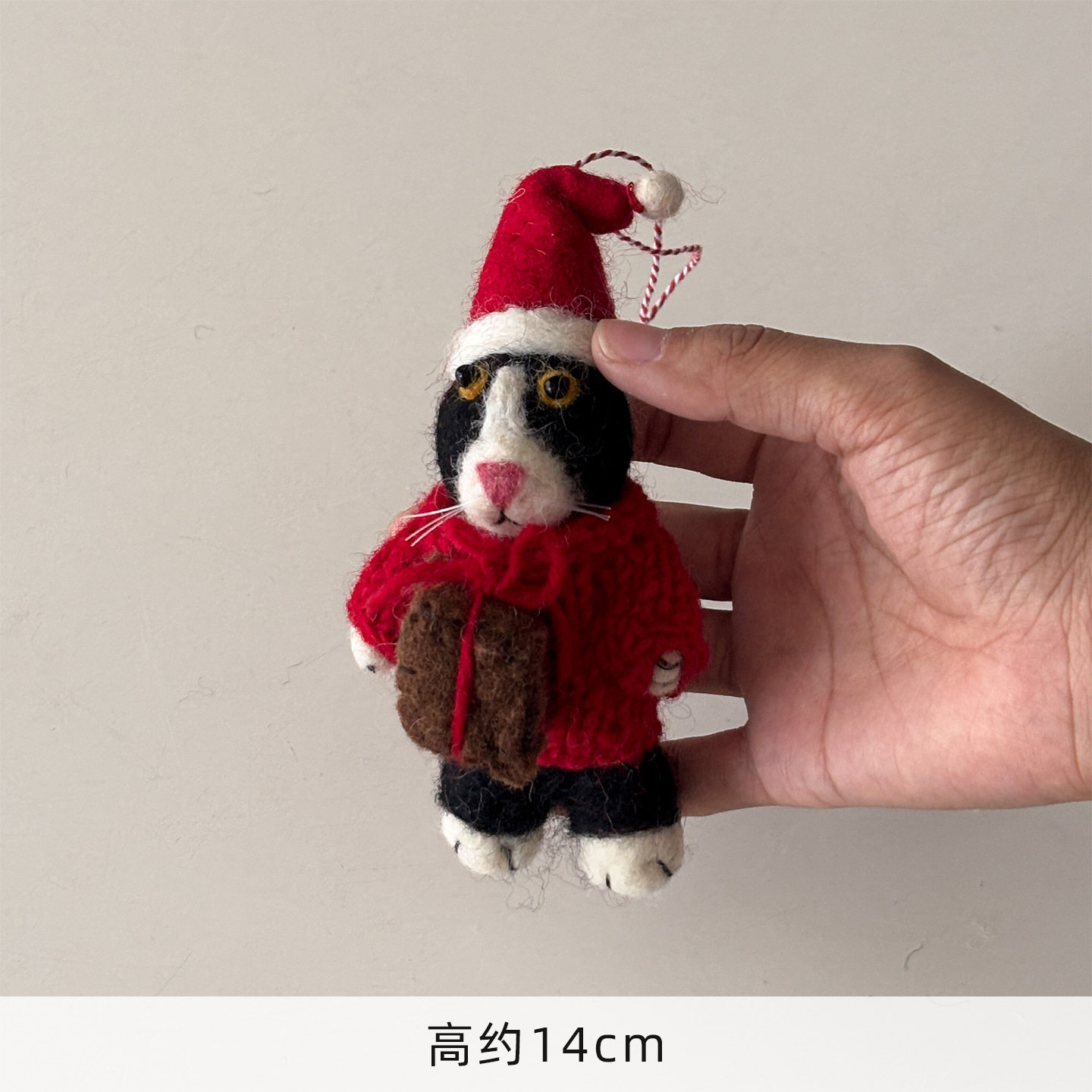 黒猫の赤いセーターとクリスマス帽子