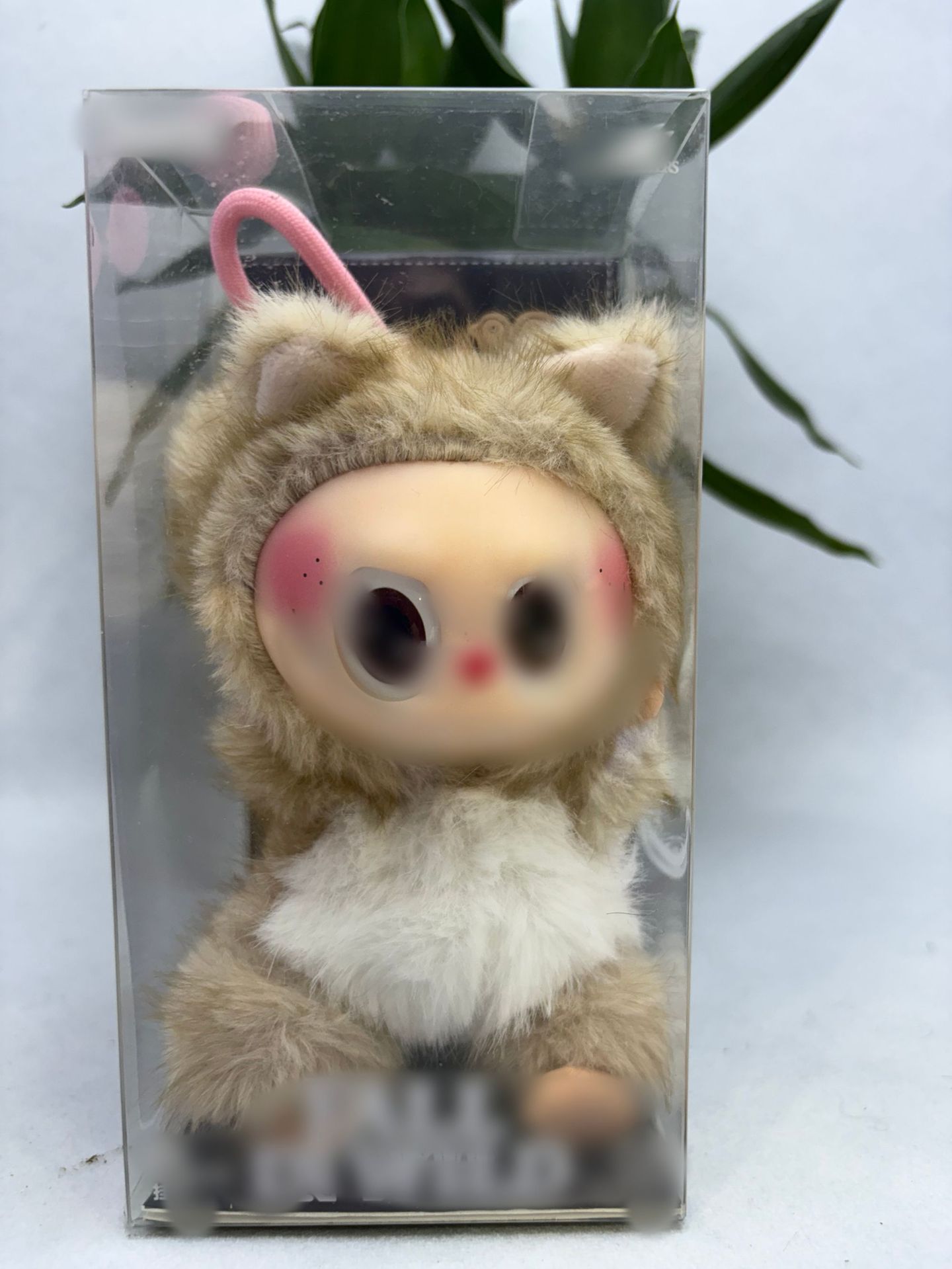 エルフキツネ【新作改造ベビー・高品質】