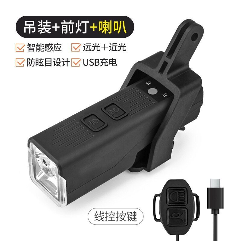 ブラックの天井取り付けヘッドライト