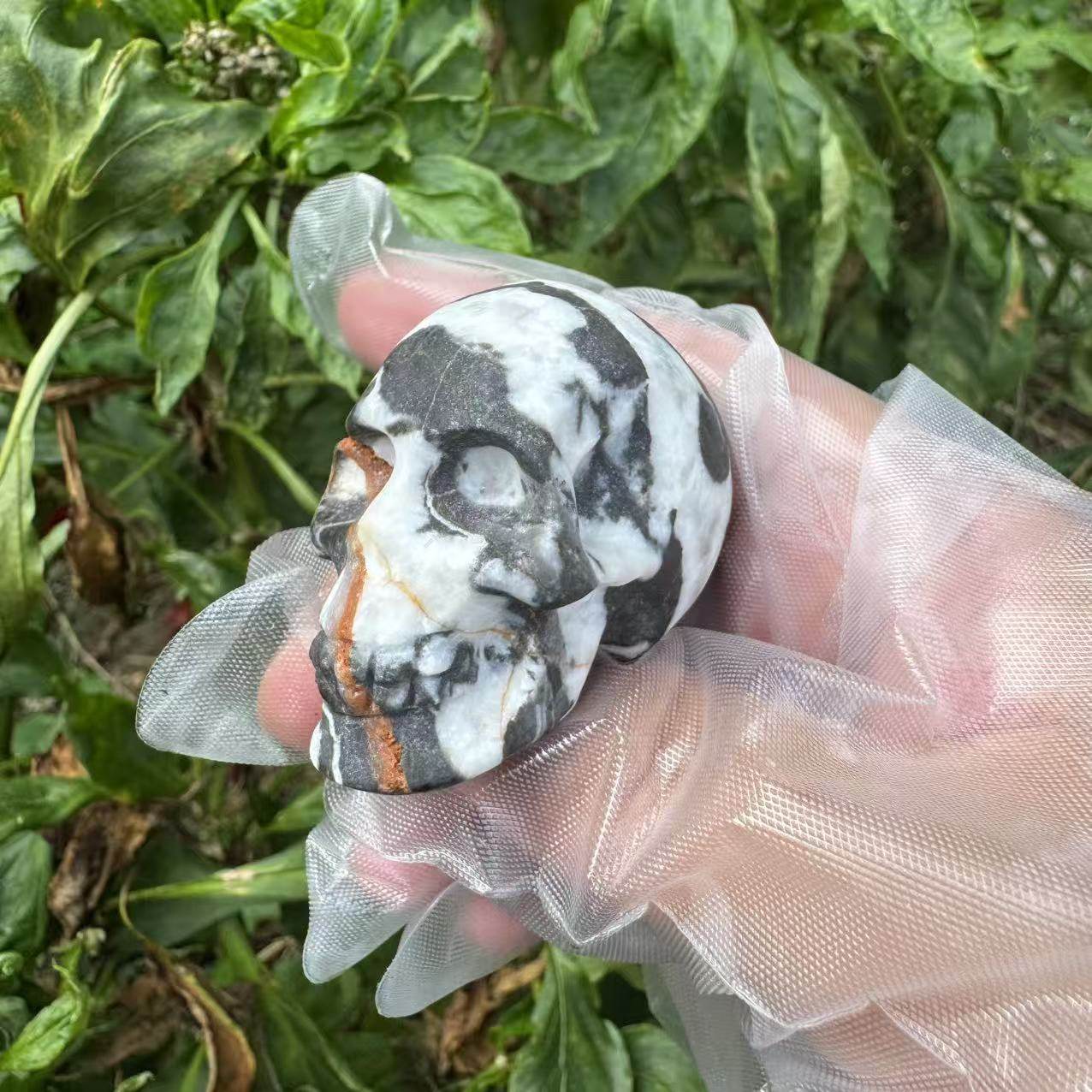 ゼブラストーン