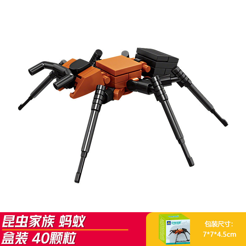 アント (開智2018)