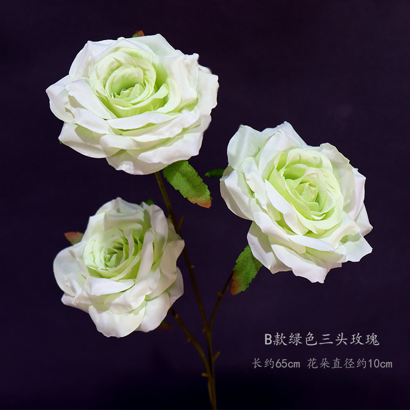 B型緑三頭薔薇