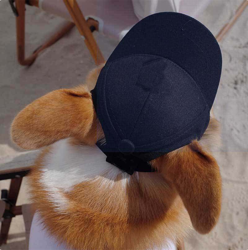 黒のペットベースボールキャップ
