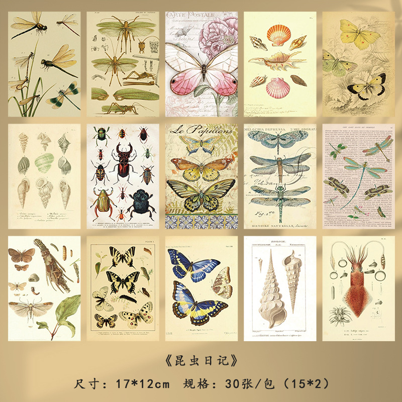 昆虫日記