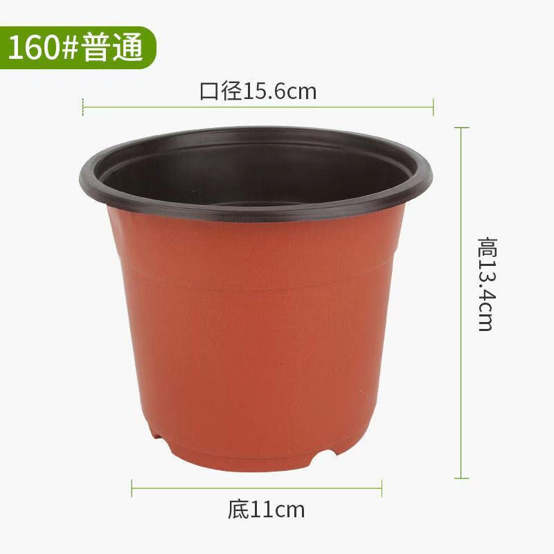 厚みのある160