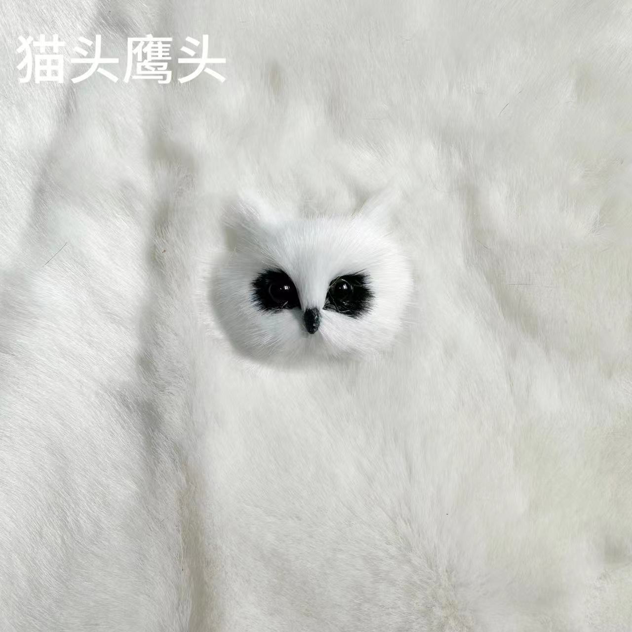 白いフクロウの頭