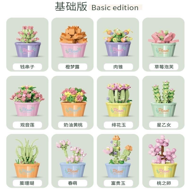 【多肉植物鉢植え12種】ランダムで1箱お届け