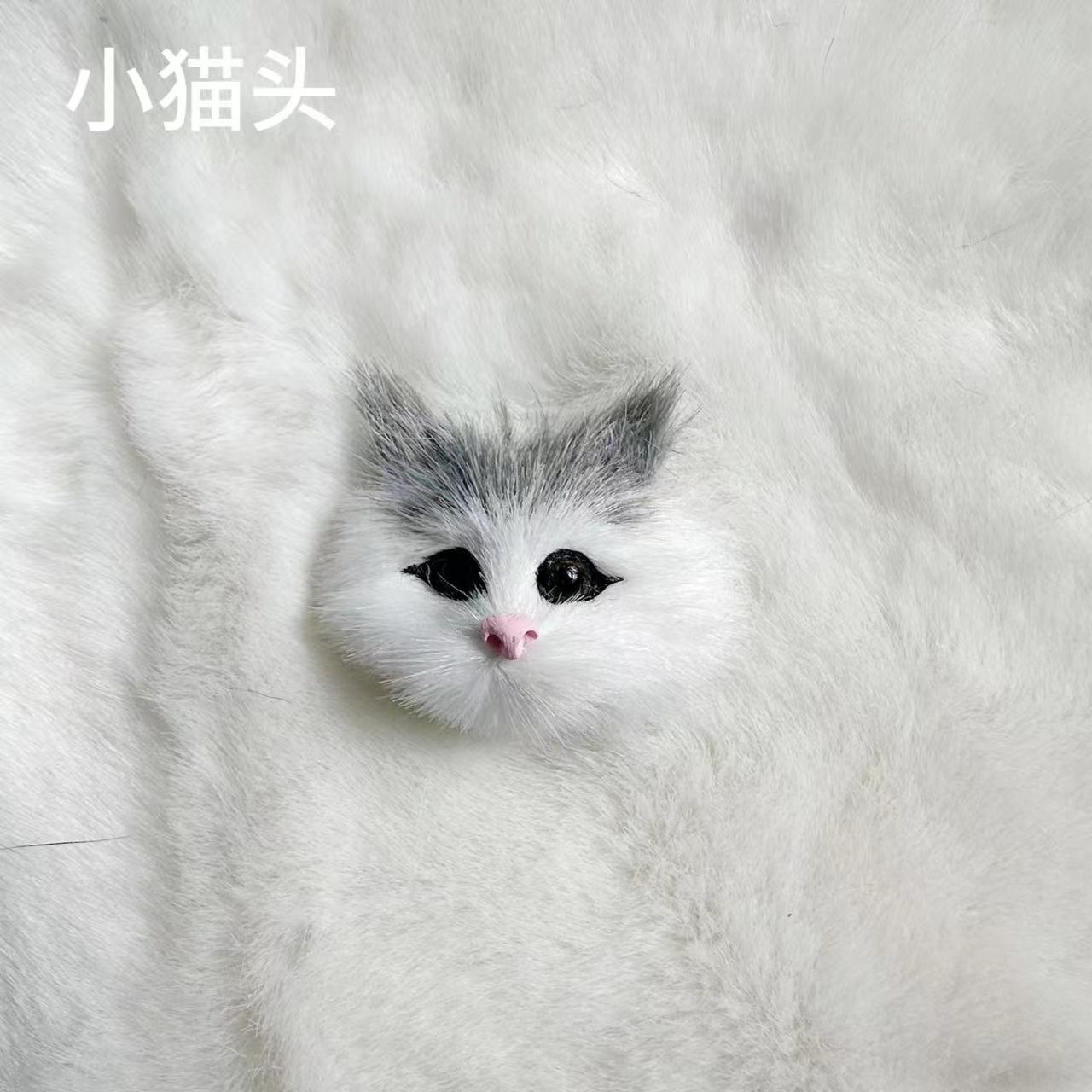 灰色の耳の猫の頭