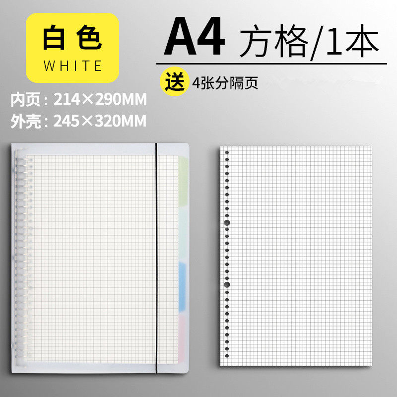 A4-ホワイトケース【メッシュ芯1 + 仕切ページ】