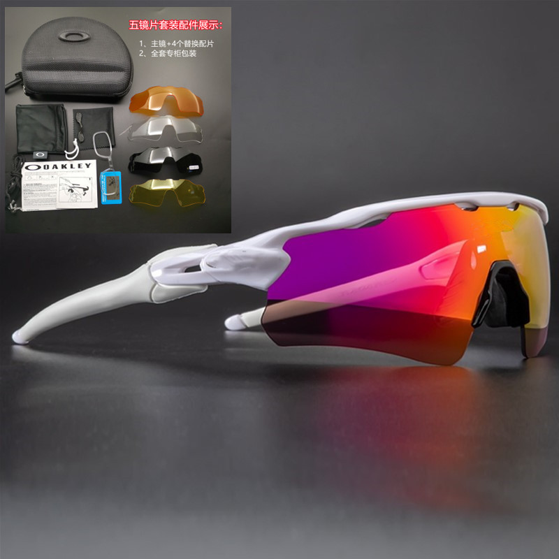 白枠赤フィルム5枚セット