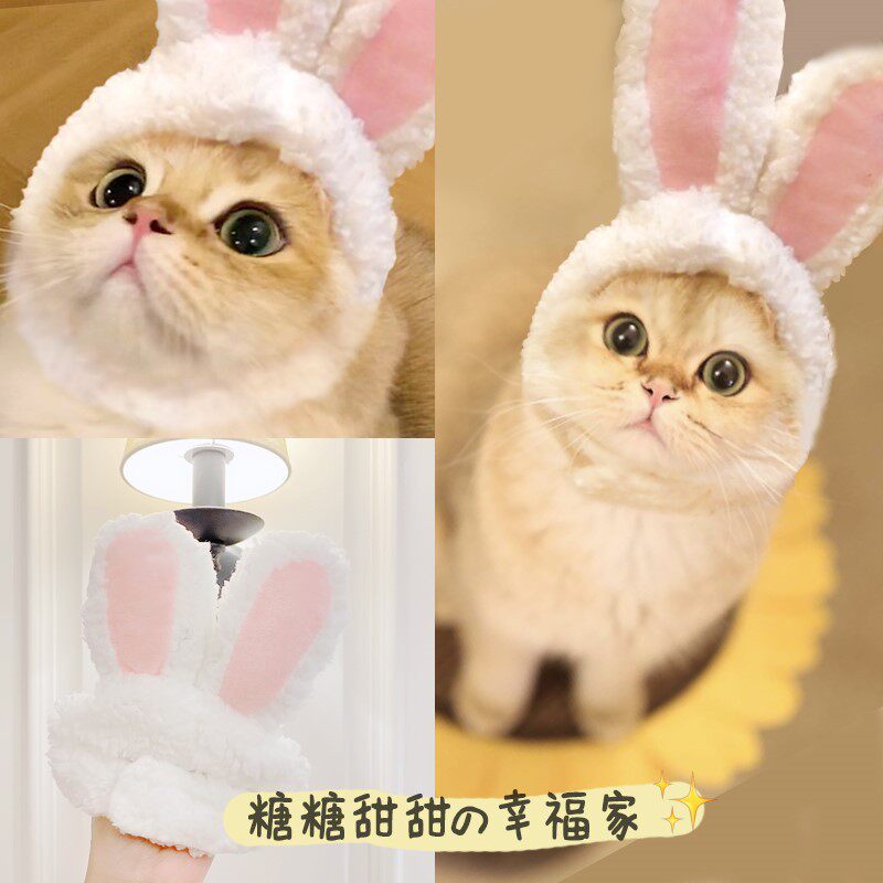 ウサギ耳通コード (首周り28-35cmは15キロ以内を提案)