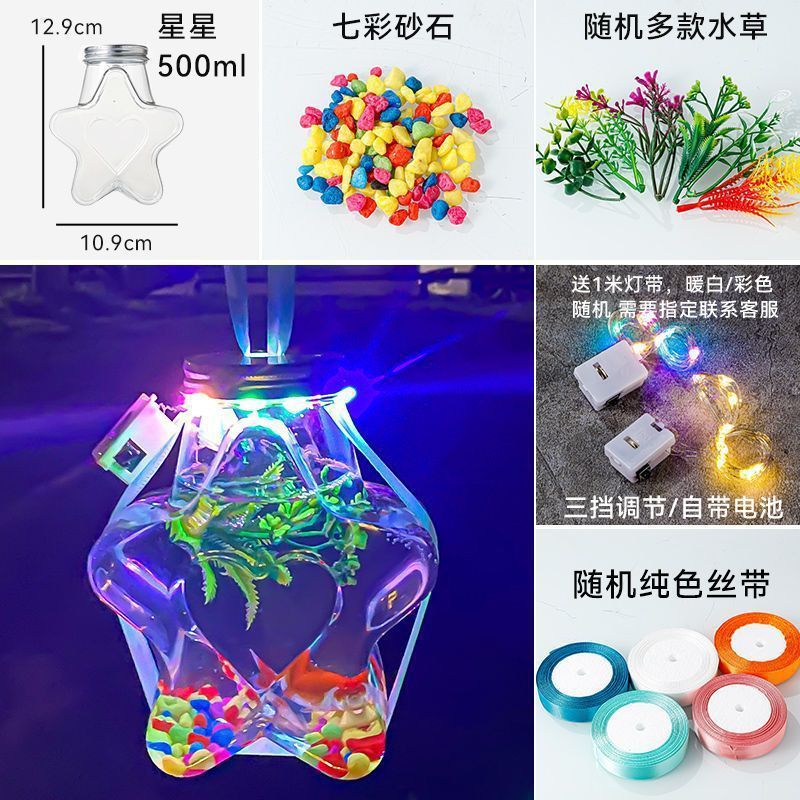 五芒星缶魚 (缶水草彩灯彩石)