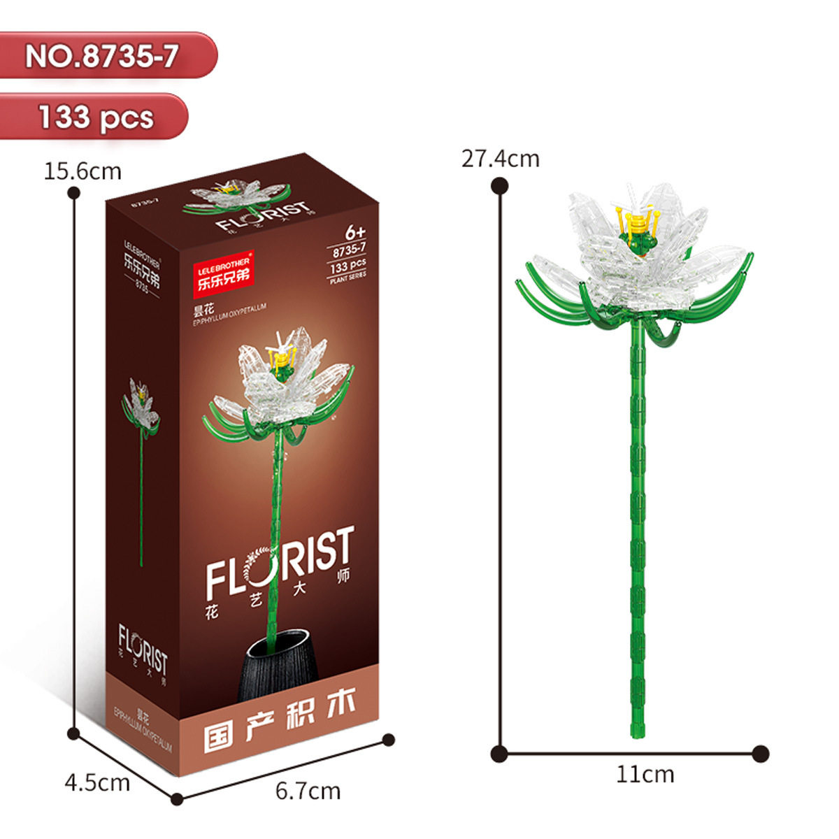 8735-7 透明チューリップ