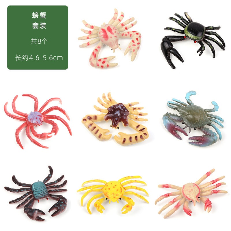 小海蟹8種セット