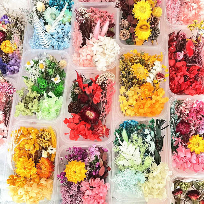 精製金永生花材/ランダム1箱
