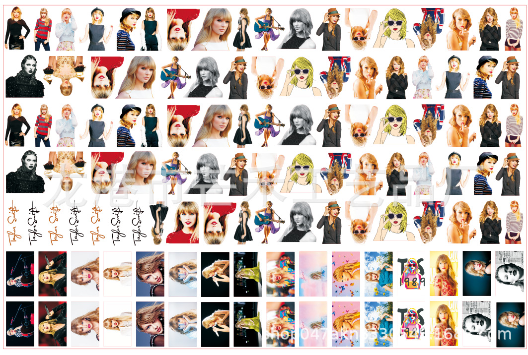 テイラーTaylor Swift 4cm 1斤