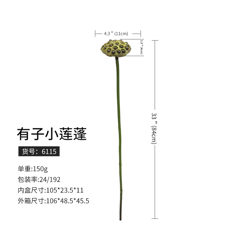6115有子小蓮蓬(192枝から予約)