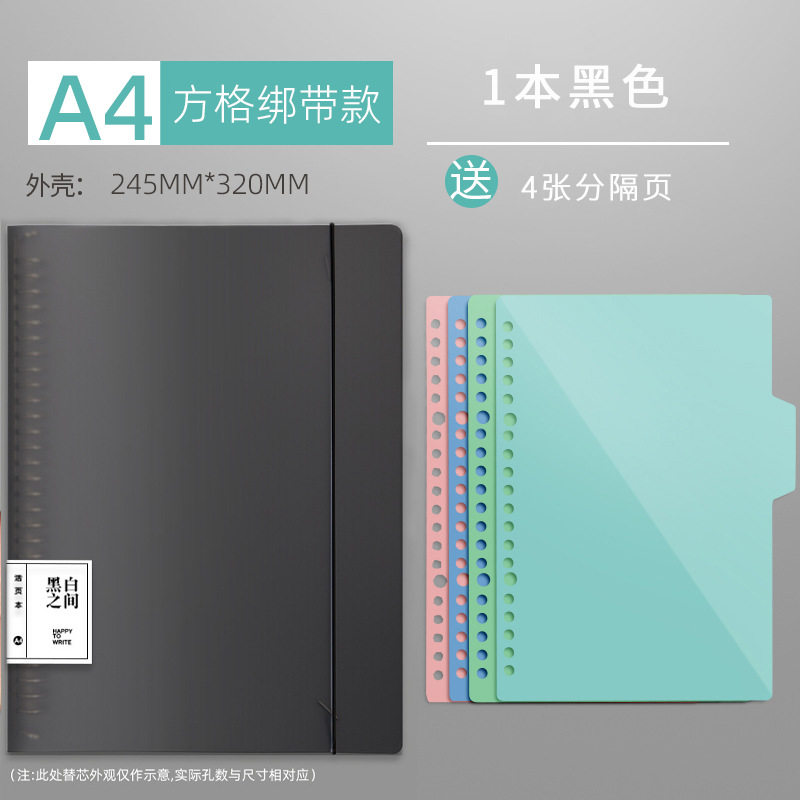 A4-黒色ストラップケース【仕切ページ】