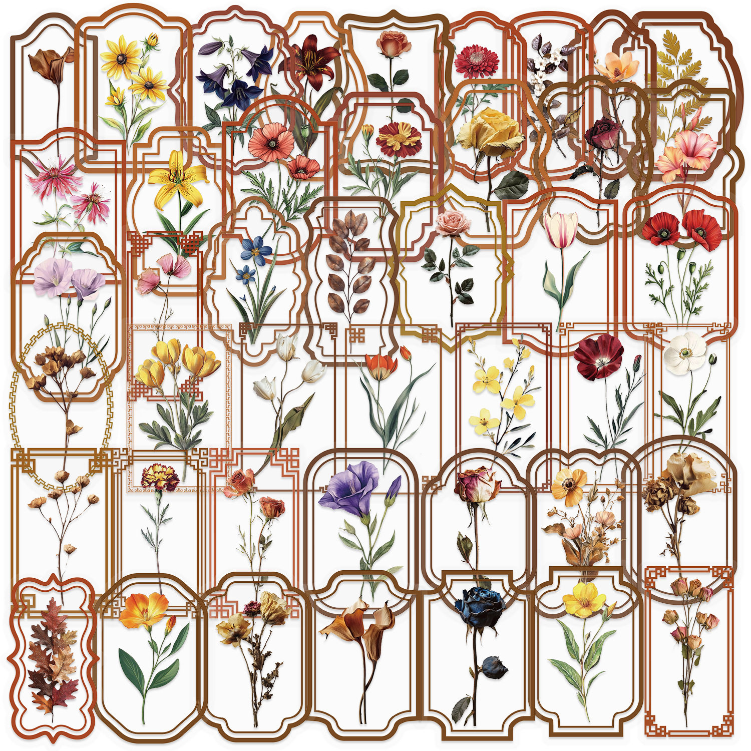 レトロな植物の写真 50 枚 SLP038