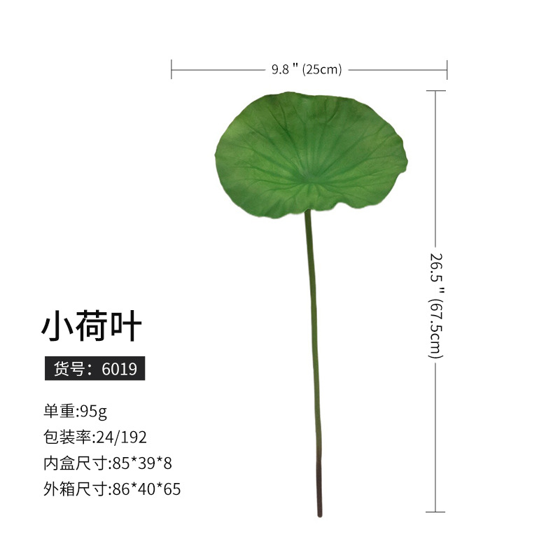 6019ハスの葉 (192枝から注文)