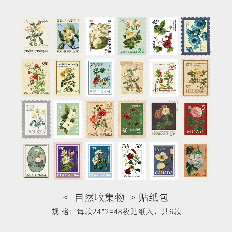 自然収集物(48枚)