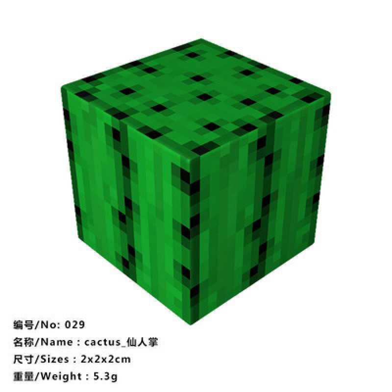 029_サボテン