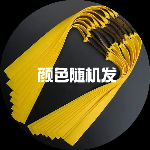 輪ゴム 10本入【ランダムカラー】