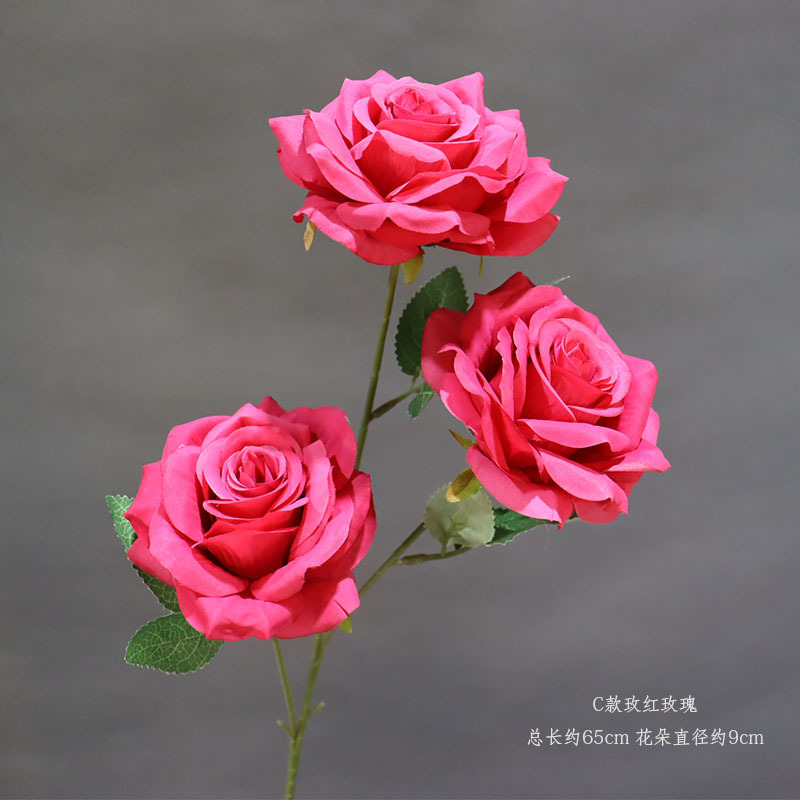 Cタイプのバラの赤い三頭のバラの一本