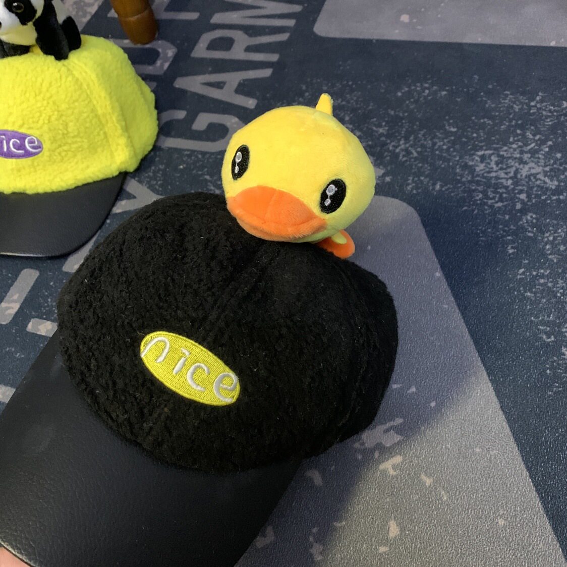 黒い帽子のアヒル