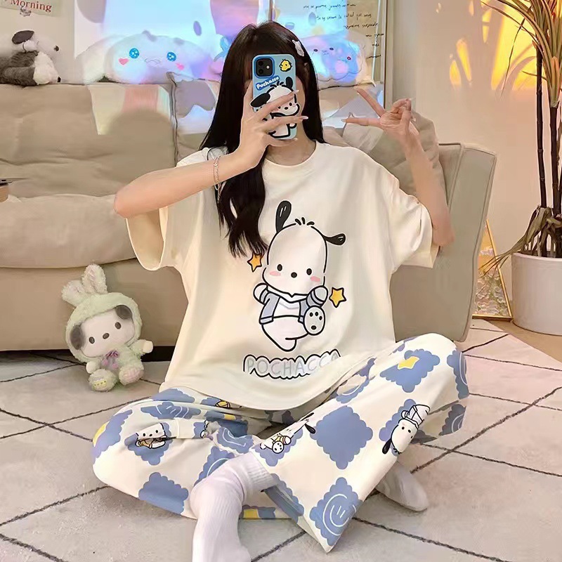 CP-杏パハ犬