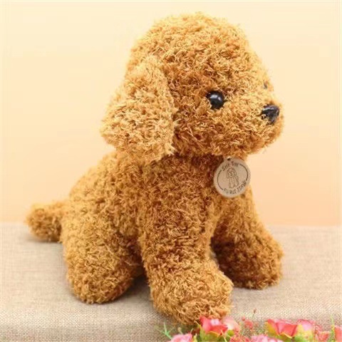 茶色のテディ犬