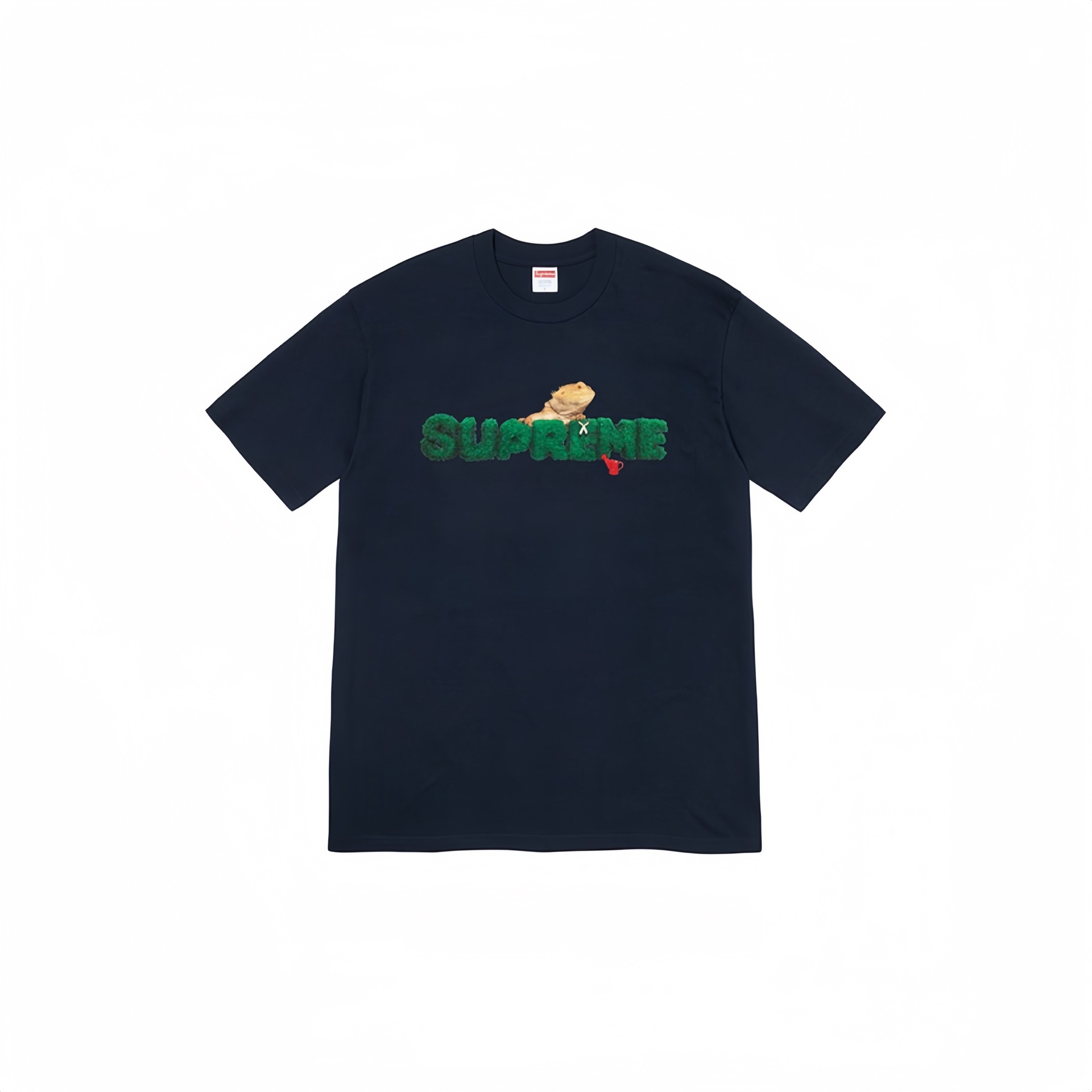 S41 チベタンブルー