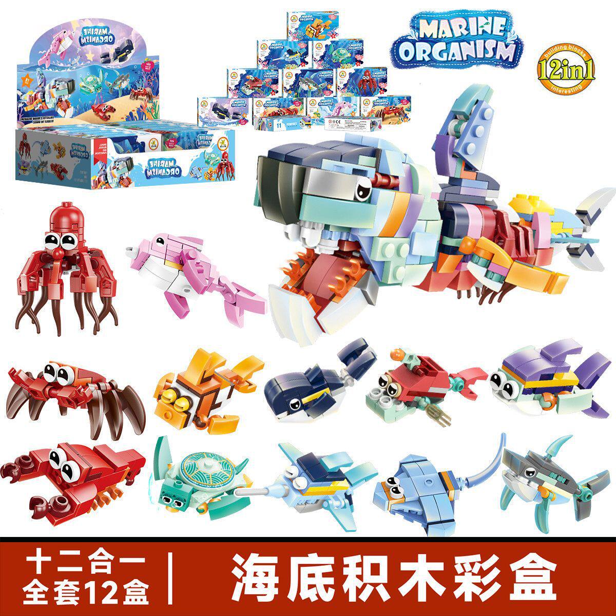 【209B 海底結合可能】12個取り、1箱お届け