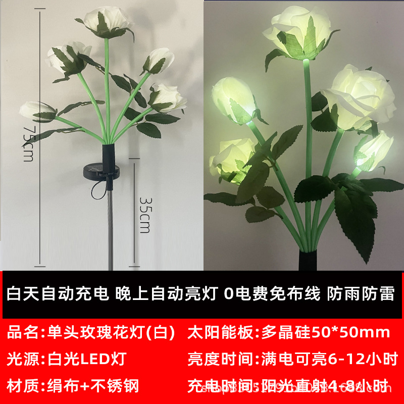 太陽エネルギー-5頭-白薔薇 (裸服)