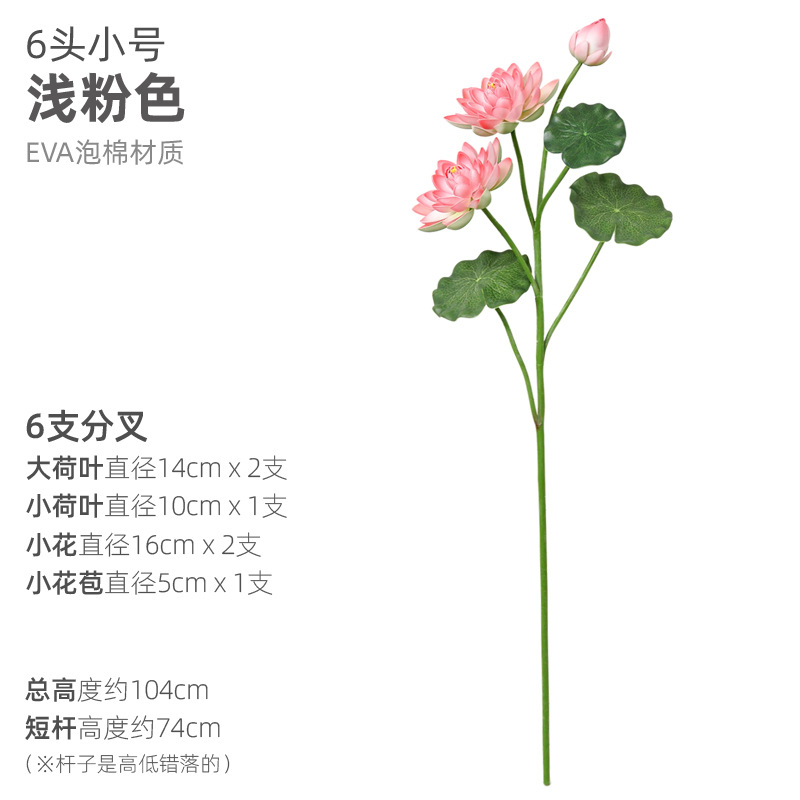 6頭の小さいサイズの薄い粉