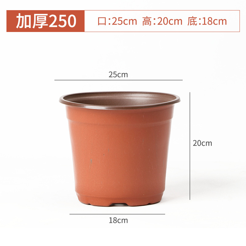 厚み250