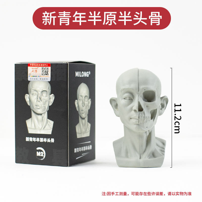 M2 新しい若者ブロック半生半頭蓋骨