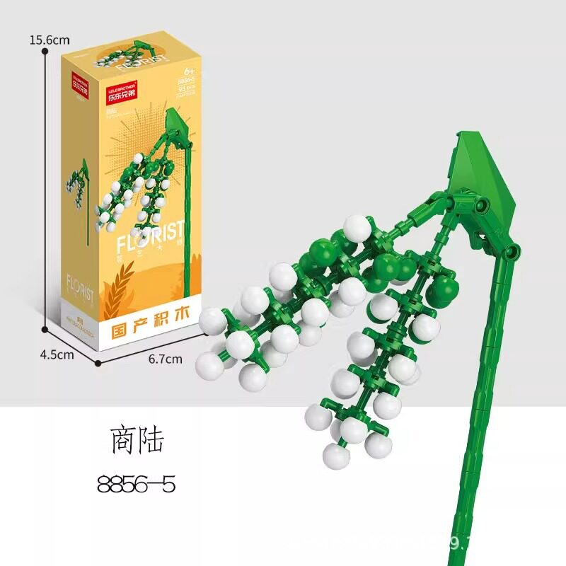 8856-5 ポリゴナム