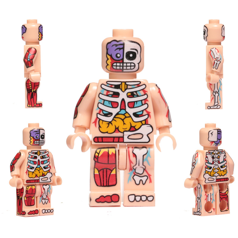 スケルトンマン-ミートC【底板付き】