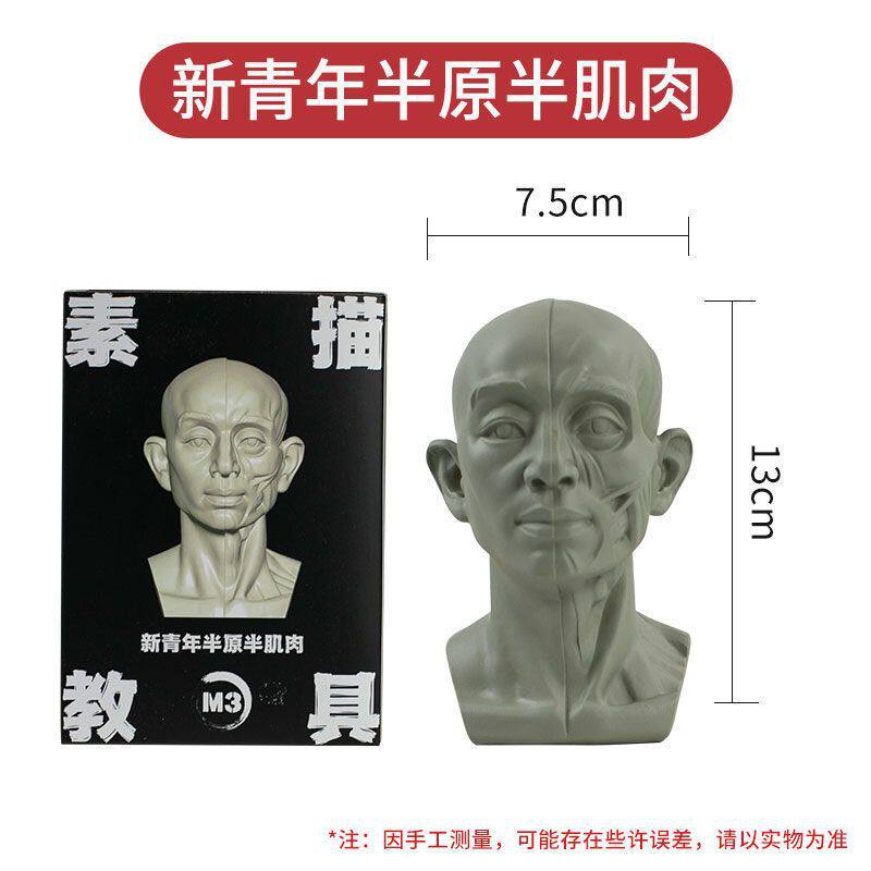 M3新青年半原半筋肉-単装