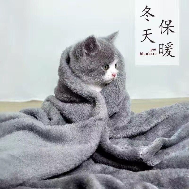 毛布は巣ではない