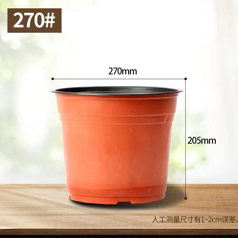 厚みのある270