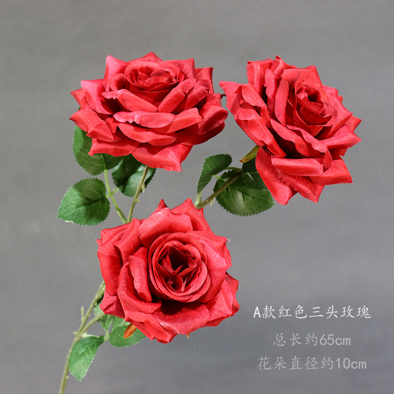 A種の赤い三頭のバラ