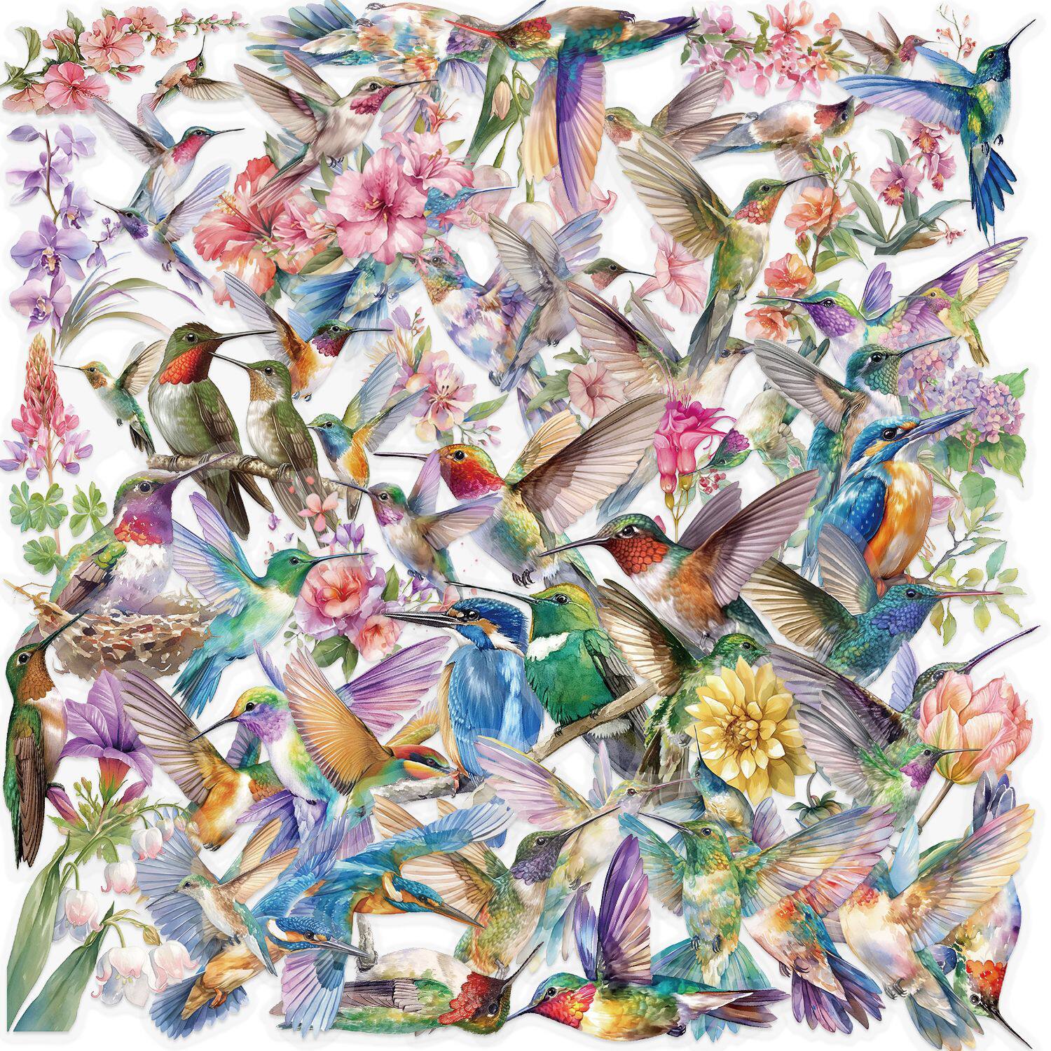 ハチドリ SLP017 50枚