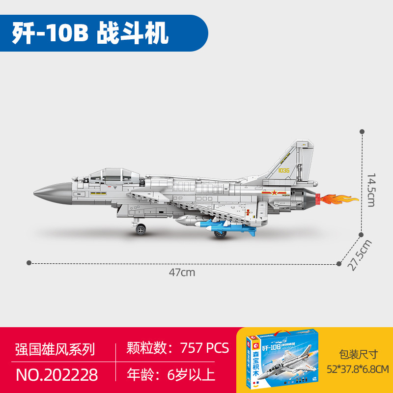 森宝202228-殲10b戦闘機