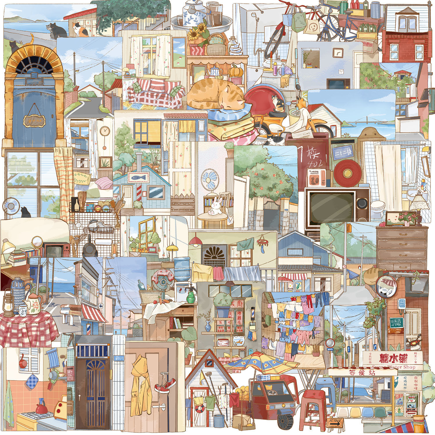 路地の家族 SLP120 の写真 50 枚