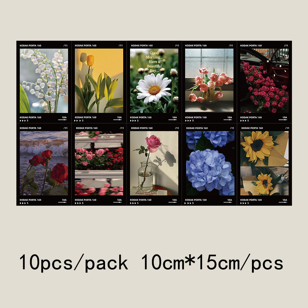 QH346 花の間のロマンス-10枚